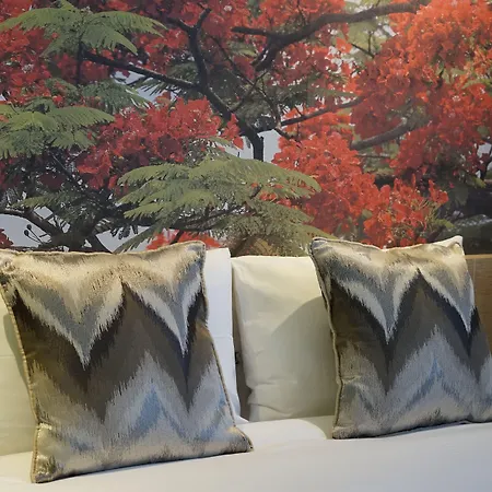 Riva's Moda Istanbul