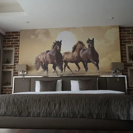 Hotel Riva's Moda 3*