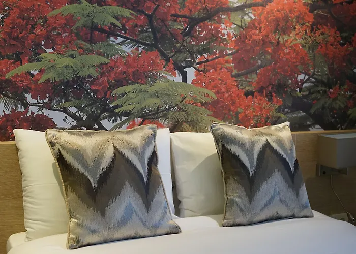 Riva's Moda Isztambul