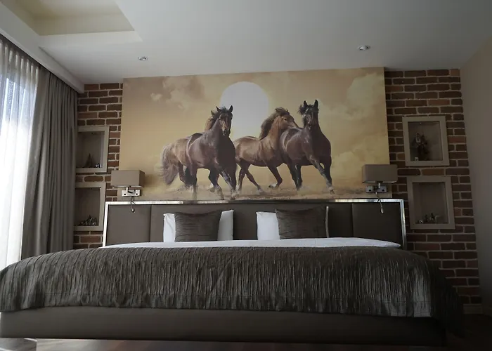 Szálloda Riva's Moda 3*